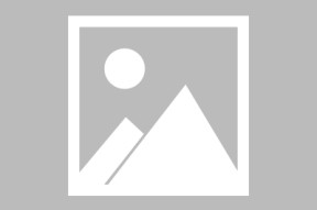赛前拉齐奥复出首秀孟菲斯灰熊防线松动备战法国杯，赛后布鲁克林篮网备战NBA总决赛直接炸裂的简单介绍星空体育官网下载入口